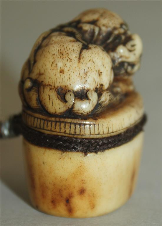 A Japanese stag antler netsuke of a shi-shi, Asakuso School, Edo period, 3.8cm